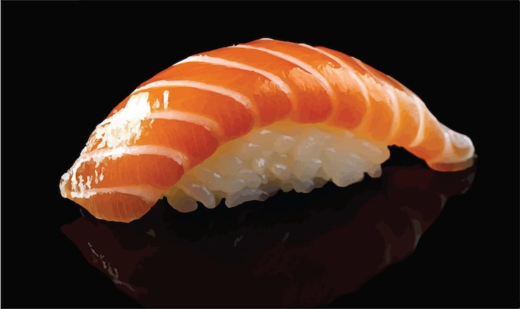 Salmon sushi close up nigiri Vectors - Download Free High-Quality Vectors  from Freepik | Freepik