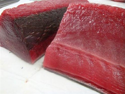 buy sushi grade fish starter pick