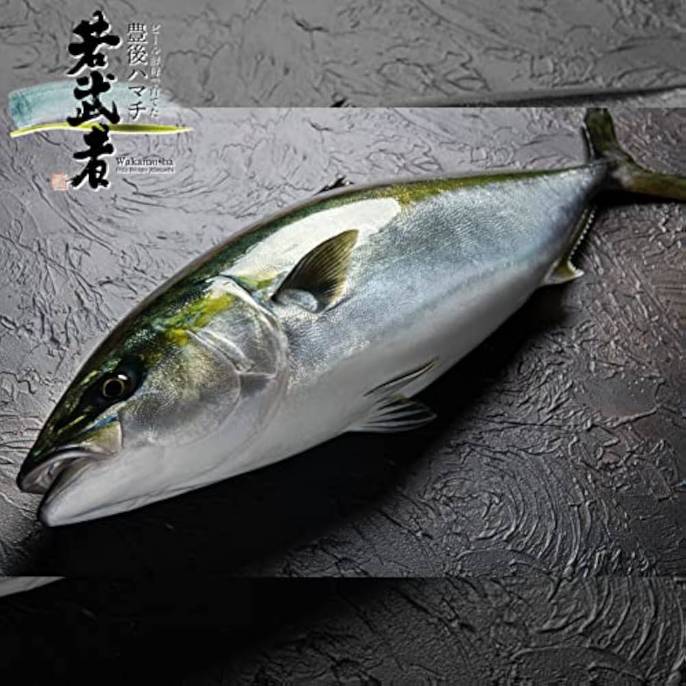Sushi-Grade Yellowtail Hamachi