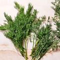 fresh dill