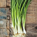 green onions bunch