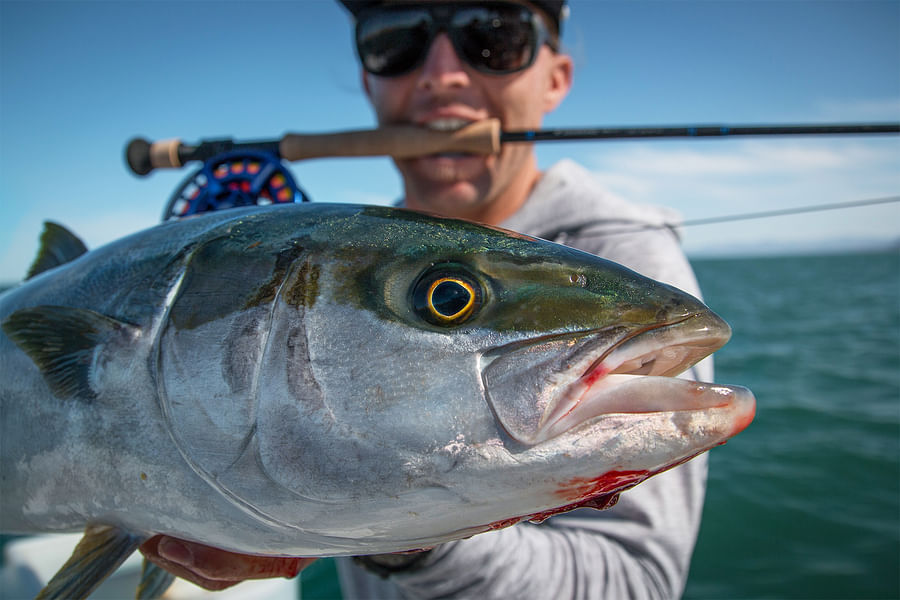 Winter Yellowtail Sushi