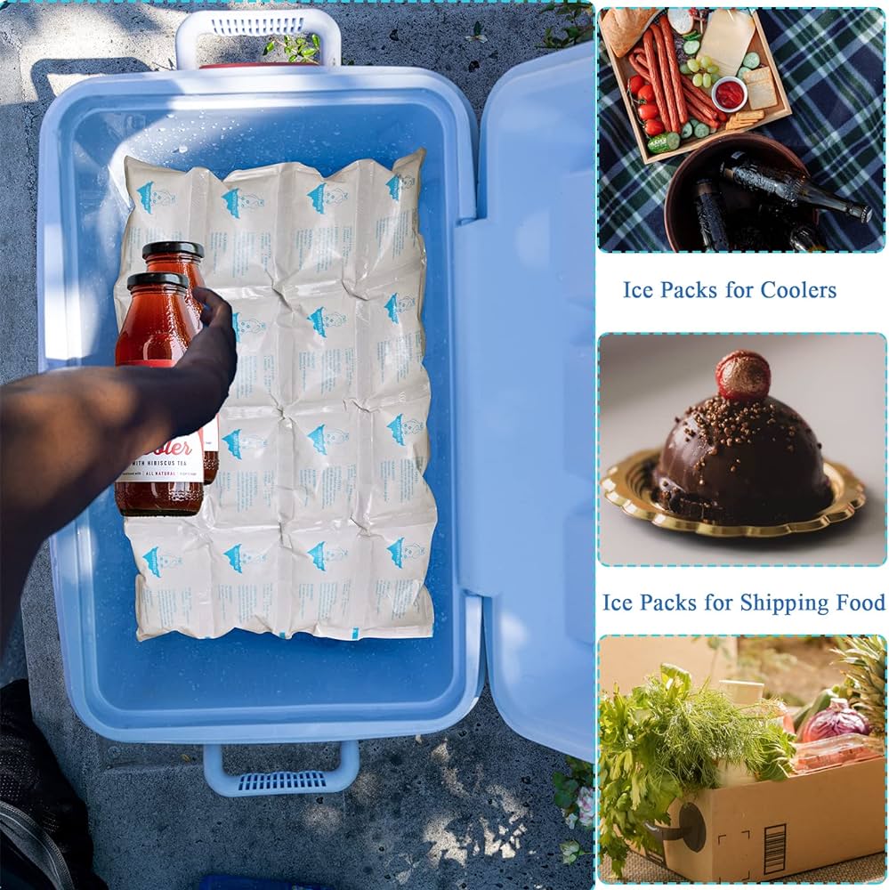 food ice packs