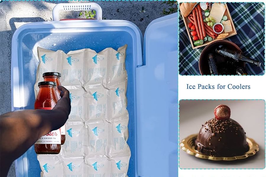 food ice packs