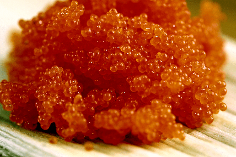 Masago and Tobiko nutritional facts
